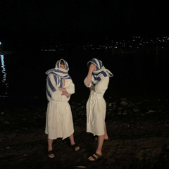 the hippoz