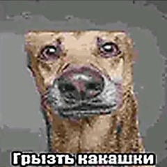 Egor