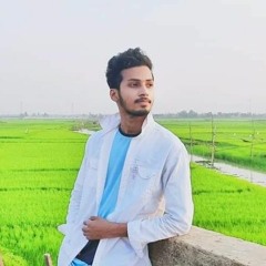 Mahedi Hasan Nahid