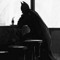 alli_manafi