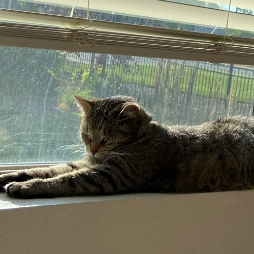 Stream Fiona Apple Paper Bag Cover by kayabox | Listen online for free ...