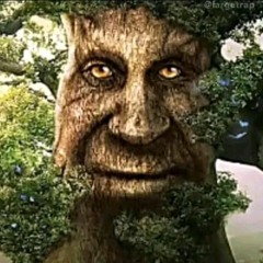 Gnomtree
