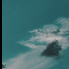 EVK$cottie(@evkscottie)
