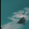 EVK$cottie(@evkscottie)