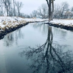 (the artist formerly known as) Moon Rabbit