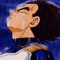 vegeta in rhe rain