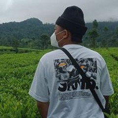Yogi Bskt