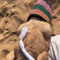 فهيــد ⁷⁷.