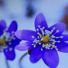 Cid The Kid 👸🏾💅🏾🥁🎧🙏🏾💝