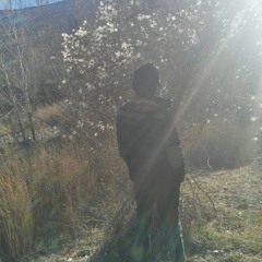 hossein
