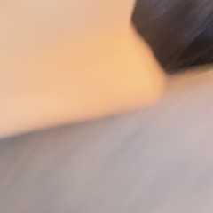 茄子