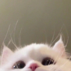 67