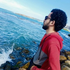 Remon nasser