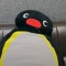 자니나
