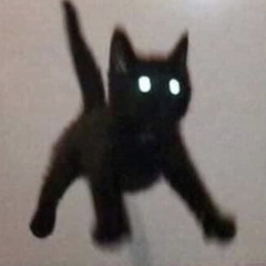 mothbuggg