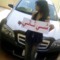 zgrt