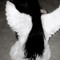 miss earth angel