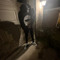 De’Jay Archive
