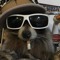SHADY BOY:(