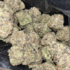 Grizzaa