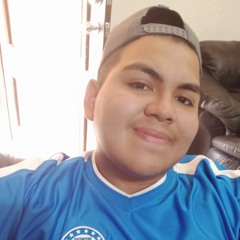 Armando Torres Rodriguez