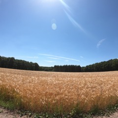 Flintenwilli