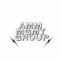 AMM LLC