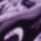 seele