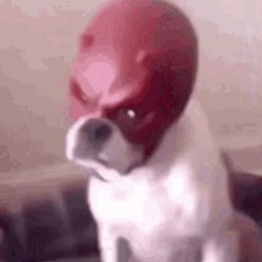 Skankz