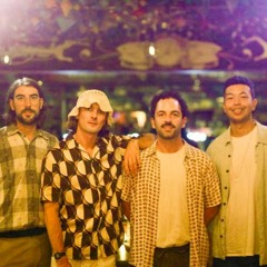 Dr. Chonk & The Nature Injection