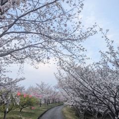 mori no chiisana michinoeki 森の小さな道の駅