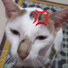 Tiên Cát