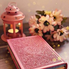 Nour Sharasa