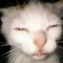 Joãozinho ;-;