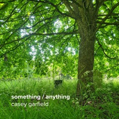 something / anything by casey garfield