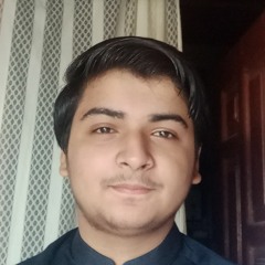 Syed Aneeq Hassan