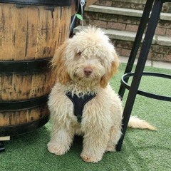 🙊Sienna xx ❤️