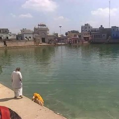 Ujwal Hariolia