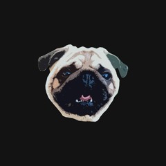 Jack The Pug