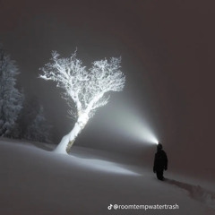 Topoppgen-Like Twighlight