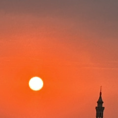 Om Habiba Ali Negm