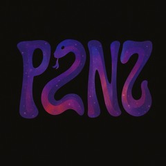 P2NZ