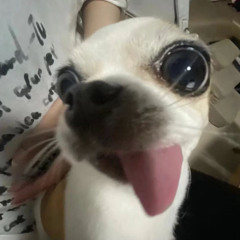 ʬʬ