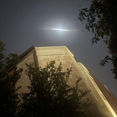 Haifa alhebaishy