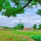 Afnan Gul