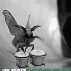 Ｖａｎｔａｌａｎｅ