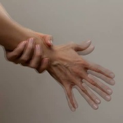 avi77