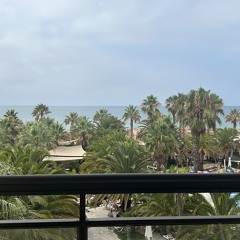 Mβ€οΈππ€ππ΅πΉπͺπΈπ―π΅π¨πΏF