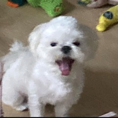 min ( •͈ᴗ•͈)