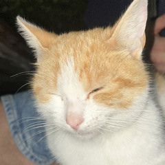 welbeckbb
